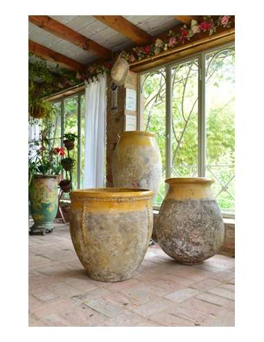 Biot col jaune patine provence