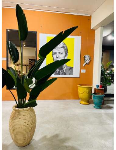 Olive shape striated Biot jar antique patina finish