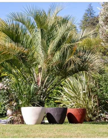 Coupe Ellipse terre rouge grattée