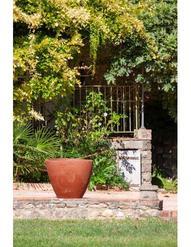 Brushed red clay Ellipse cup