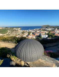 Black ceramic sea urchin | Poterie de la Madeleine