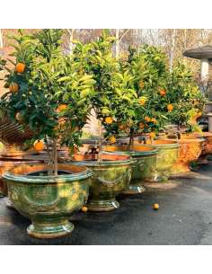Aged traditional green glazed Anduze cup