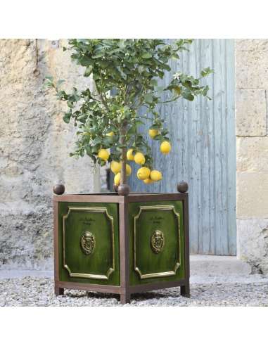 Bac à oranger émaillé tradition vert