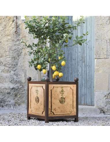 Bac à oranger patine ancienne